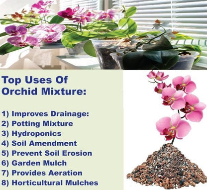 Orchid Potting Mixture - Orchid Plants Ready to Use 350gm
