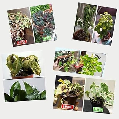 Humic Acid for Plants (Potassium Humate Flakes) 200gm